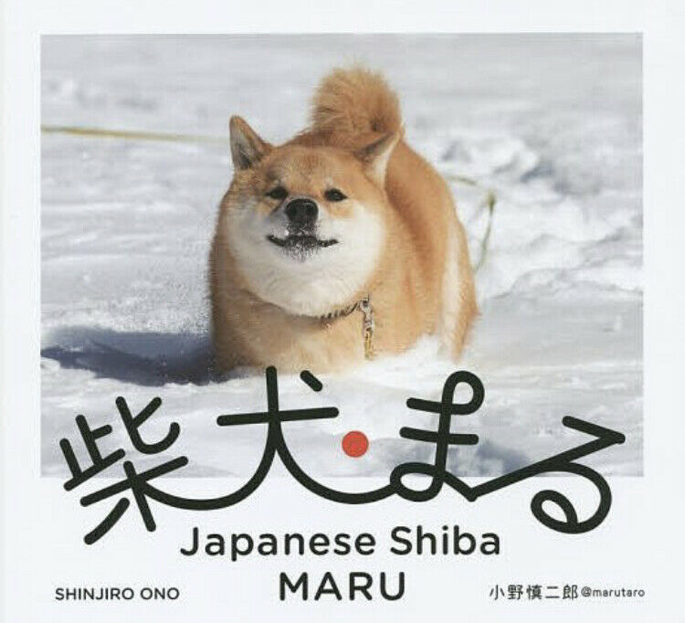 Japanese Shiba Inu Maru Photo Book